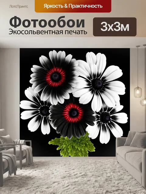 Фотообои цветы в стиле модерн, черно-белые цветы, акценты красного, графический подход, образующий драматичный эффект