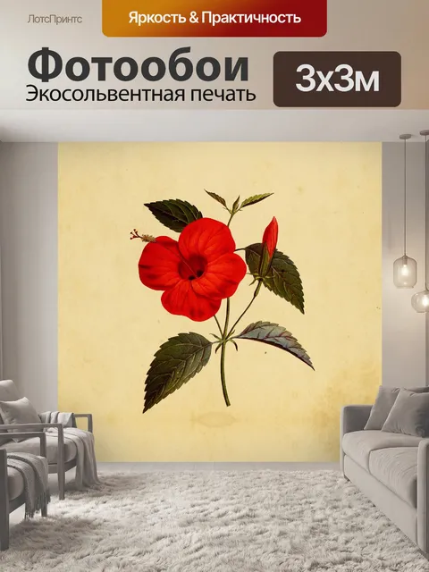 Фотообои Красный цветок гибискуса