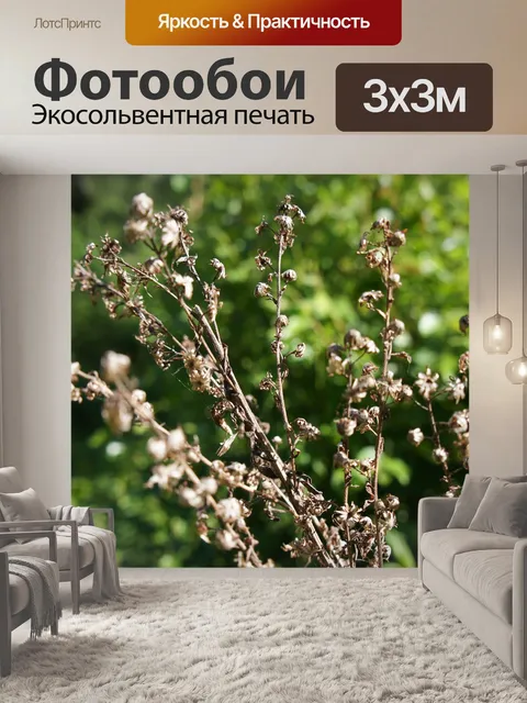 Фотообои Цветы