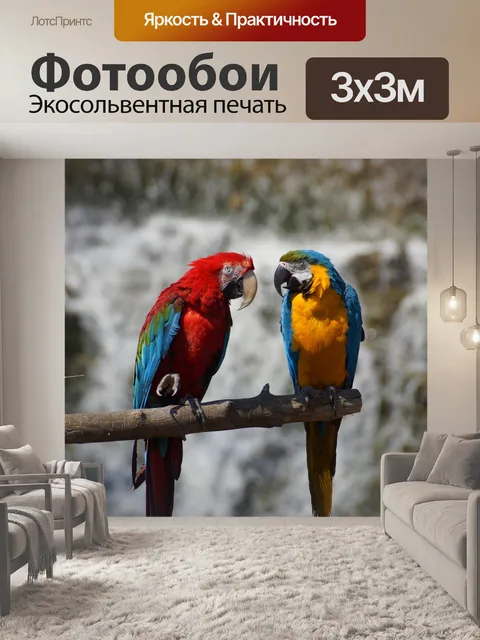 Фотообои Попугай