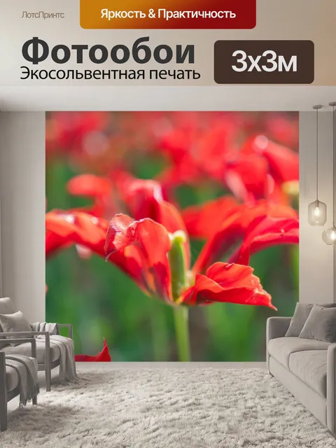 Фотообои Тюльпаны