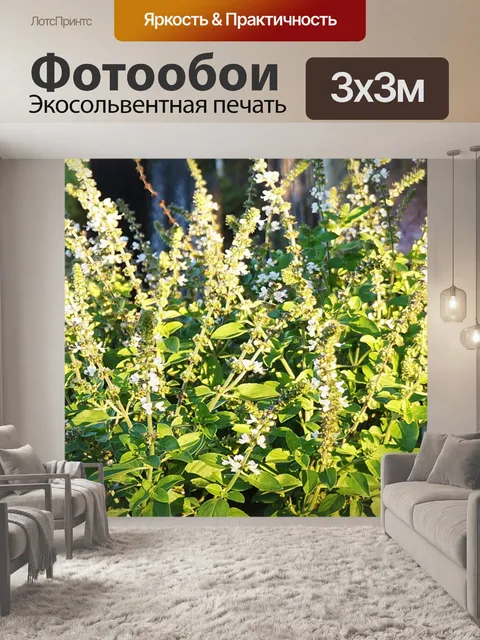 Фотообои Цветы