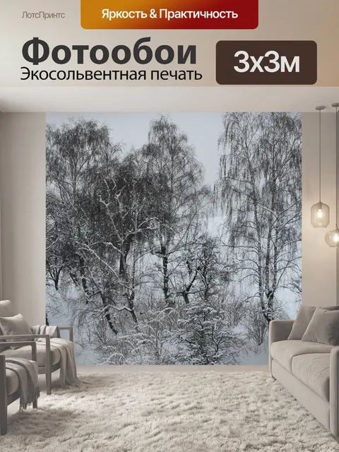 Фотообои Зима