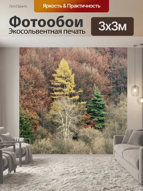 Фотообои Осень