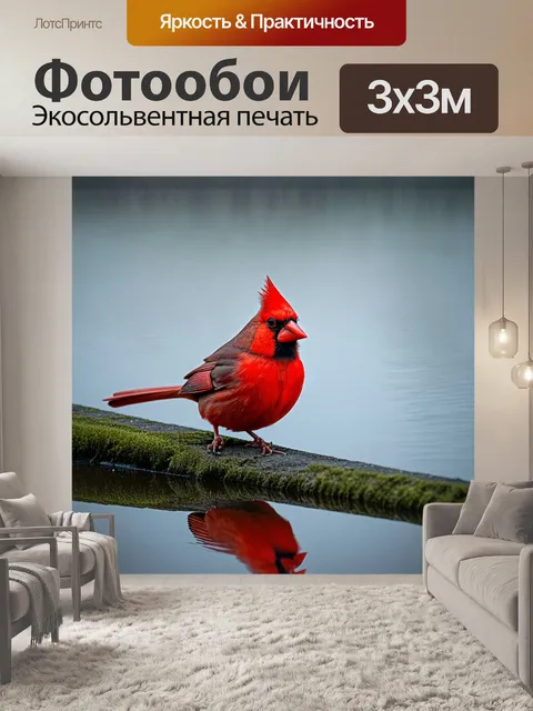 Фотообои птица красный кардинал