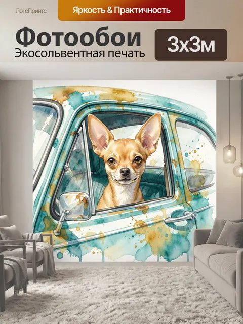 Фотообои Чихуахуа в старинном автомобиле