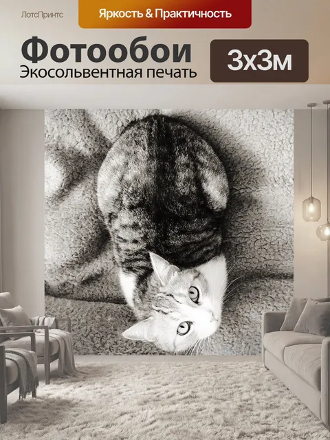 Фотообои Кошка