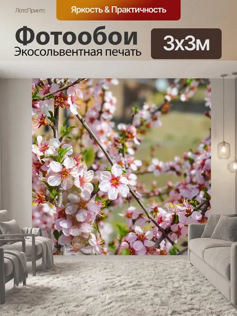 Фотообои Сакура