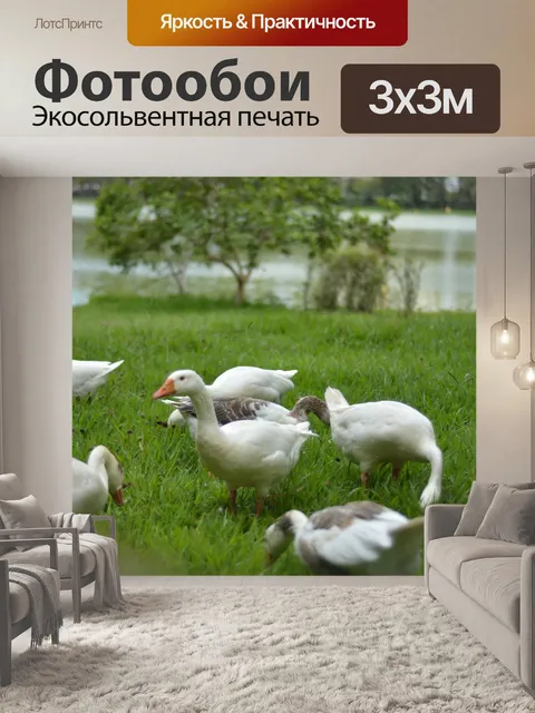Фотообои Птица