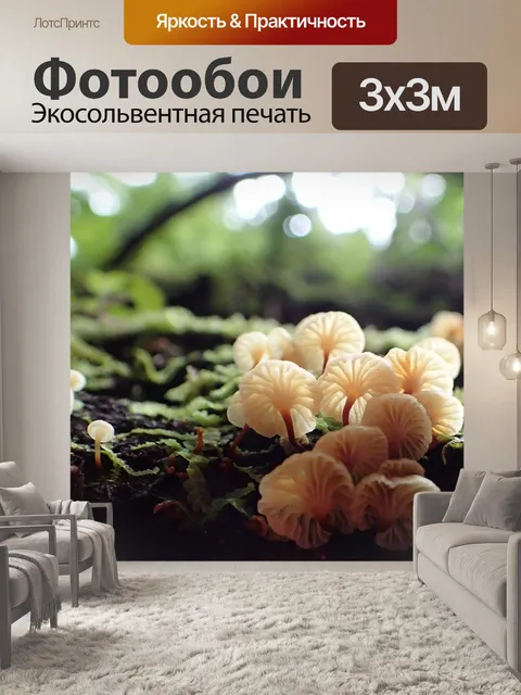 Фотообои Новая зеландия