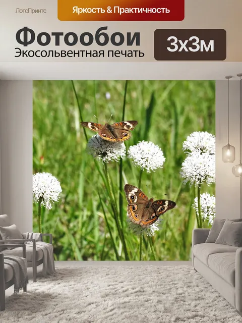 Фотообои Бакейские бабочки на полевых колокольчик