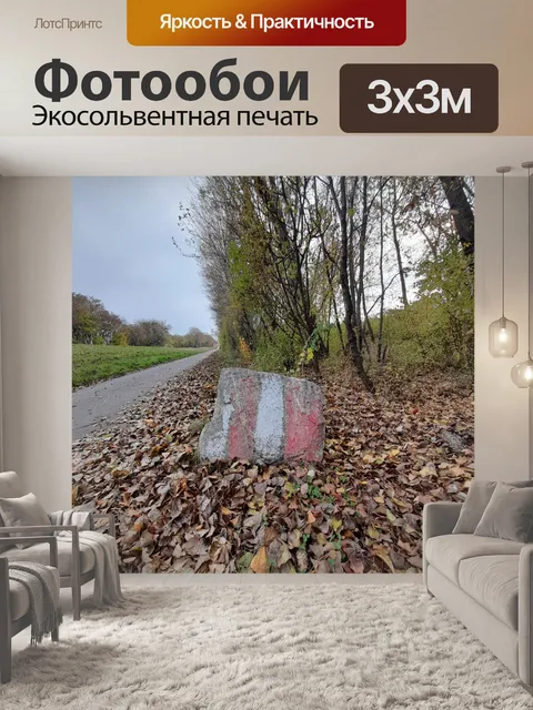 Фотообои 14. 20 ноября листья и отметки