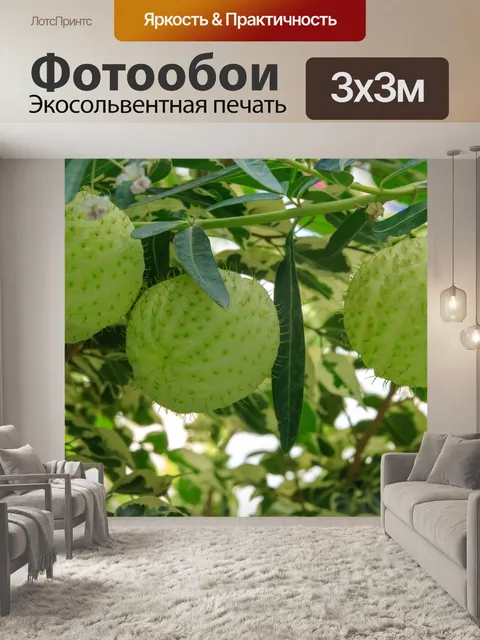Фотообои Природа Крита