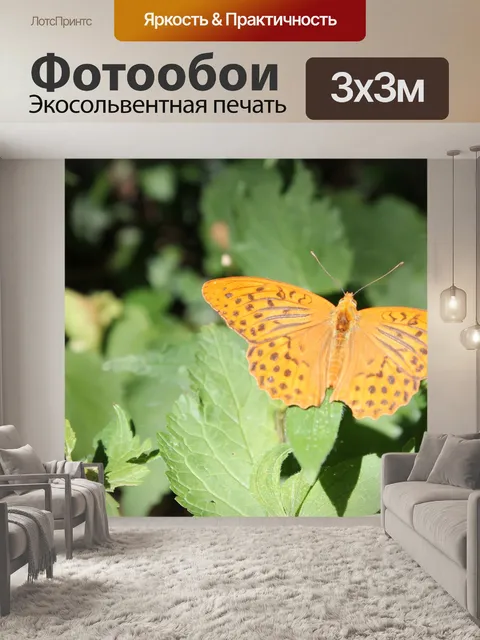 Фотообои Бабочка