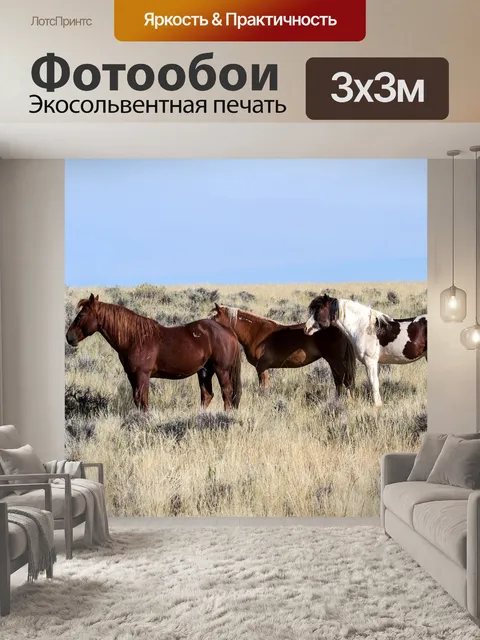 Фотообои Лошади