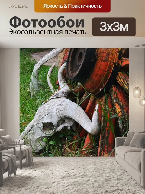Фотообои отбеленный череп и рога