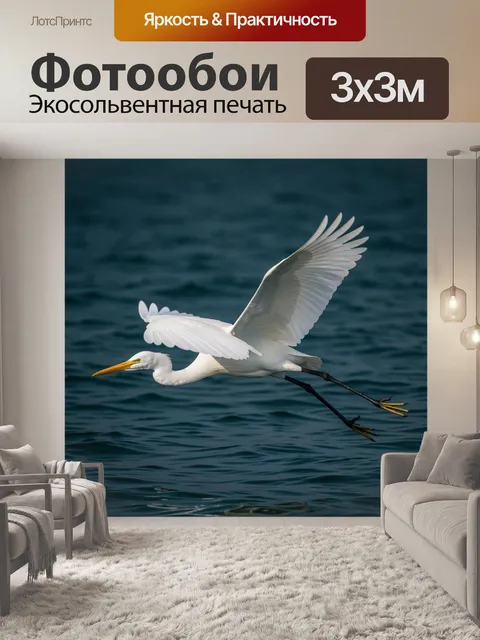 Фотообои Белая цапля над морем