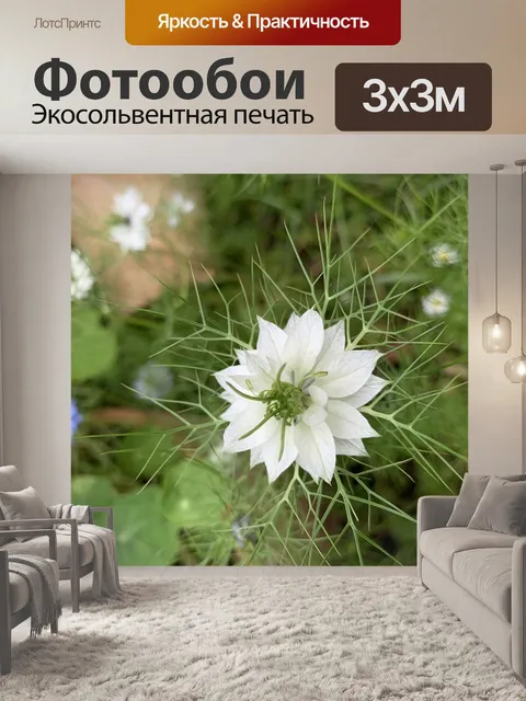 Фотообои Цветы