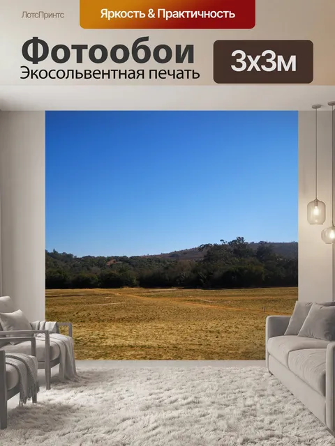 Фотообои ровное поле с далекими деревьями
