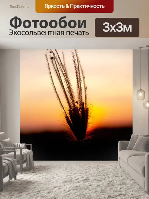 Фотообои Закат восход