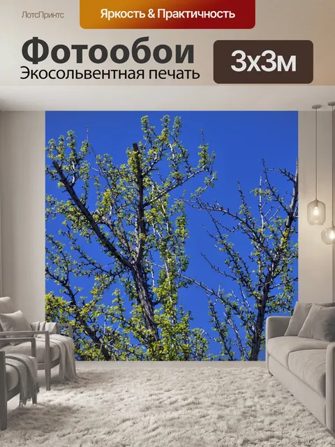 Фотообои Весенние Деревья