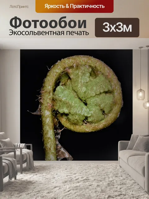 Фотообои Папоротник