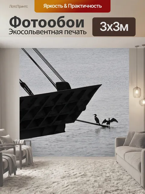 Фотообои Морские птицы