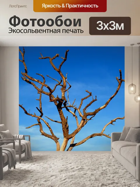 Фотообои Мертвое дерево фона
