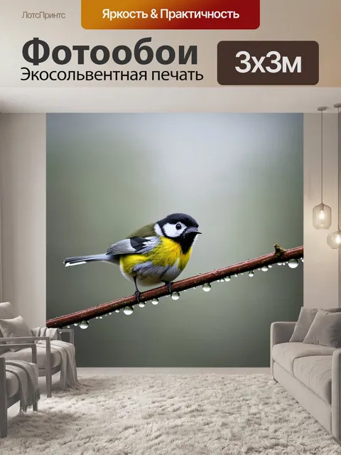 Фотообои синица, исследующая ветку, украшенную росой, на фоне туманного утреннего леса