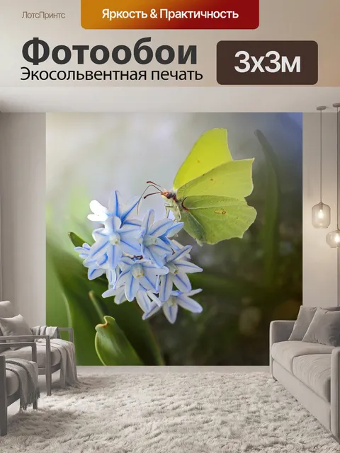 Фотообои Бабочка