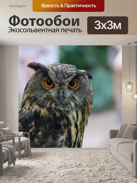 Фотообои Птица
