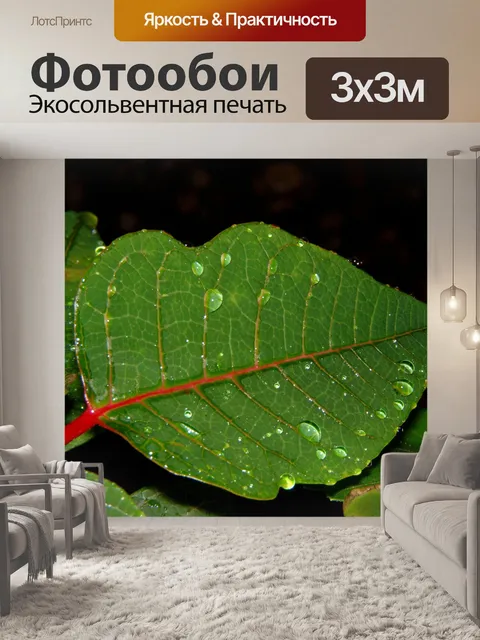 Фотообои Листья