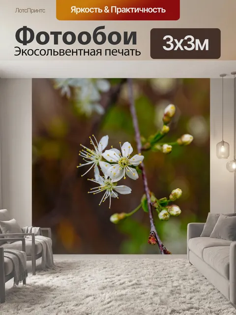 Фотообои Цветы