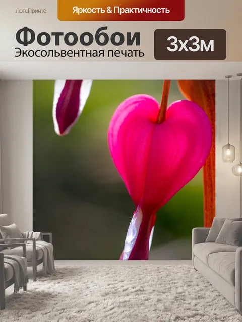 Фотообои Природа