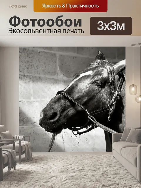Фотообои Лошадь