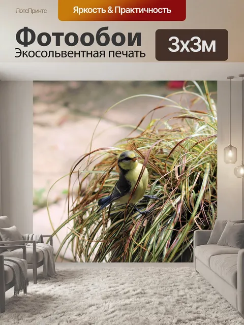 Фотообои Птица