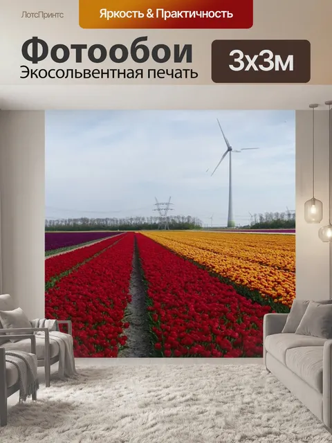 Фотообои Тюльпаны