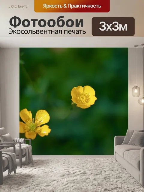 Фотообои Цветок