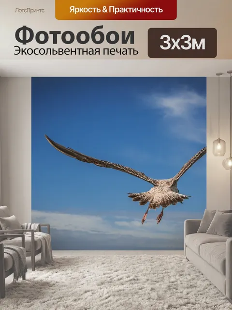 Фотообои Птица