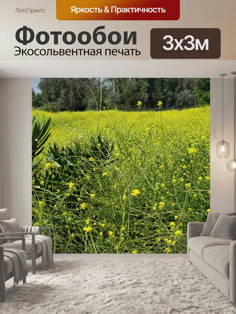 Фотообои поле полевых цветов