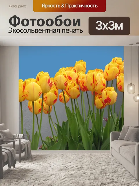 Фотообои Тюльпаны