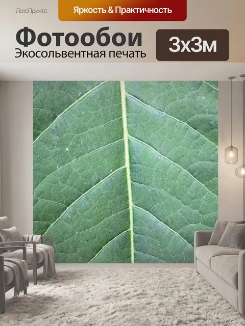 Фотообои Большой зеленый лист