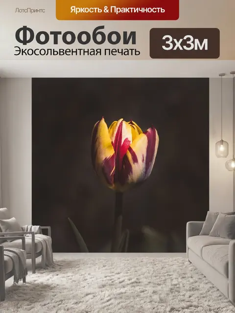 Фотообои Тюльпан