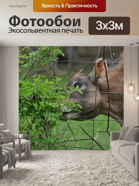 Фотообои Природа