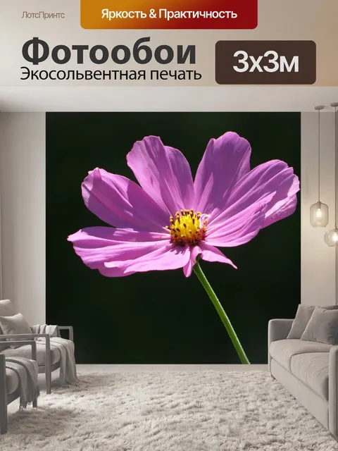 Фотообои Цветок