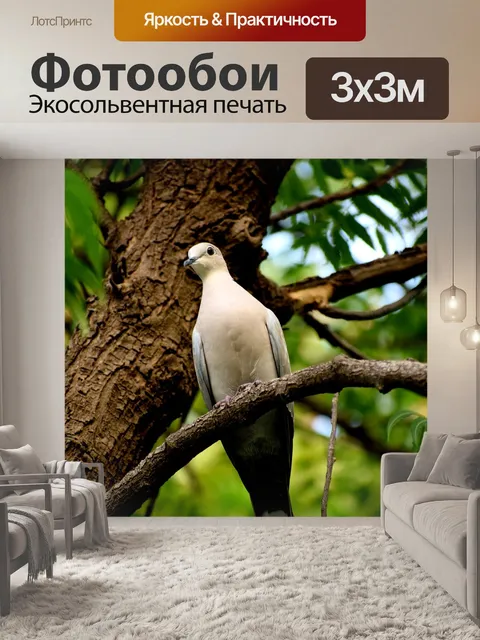 Фотообои Птицы