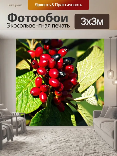 Фотообои Ягоды