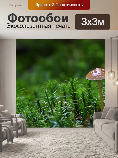 Фотообои Лес
