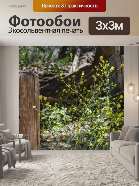 Фотообои Полевые цветы