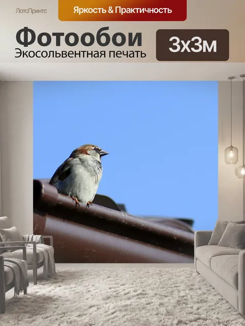 Фотообои Воробей